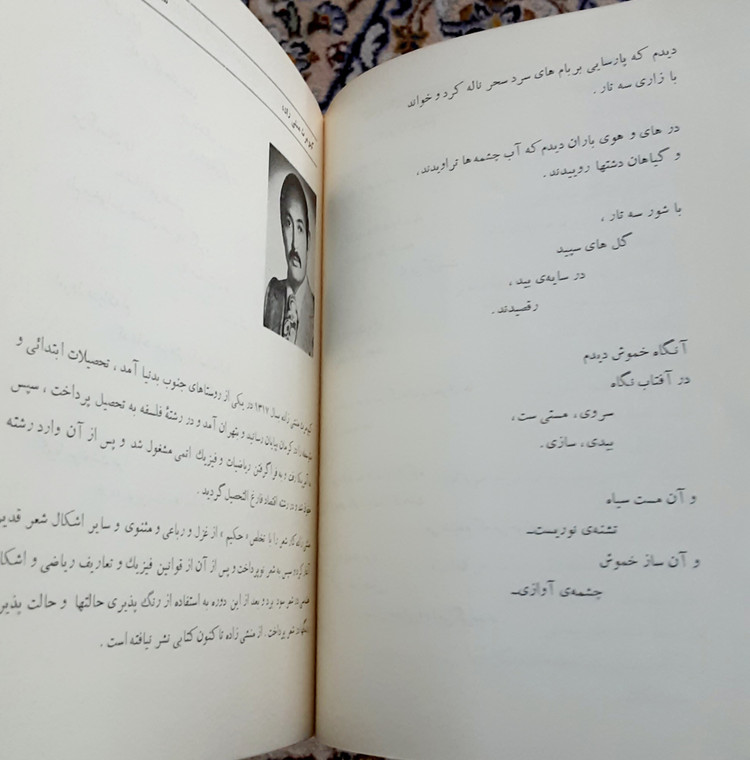کاتالوگ شبهای شعر انستیتو گوته تهران
