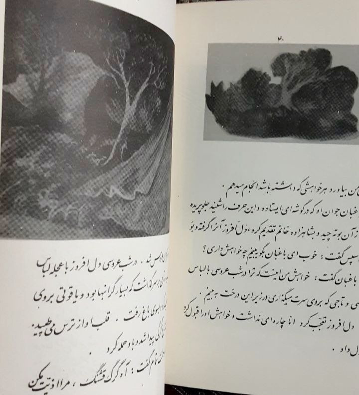 #طوطی_سخنگو_یا_چهل_طوطی_گوتنبرگ #چهل_طوطی_گوتنبرگ گردآورنده: #پروین_منصور خط: #جواد_شریفی