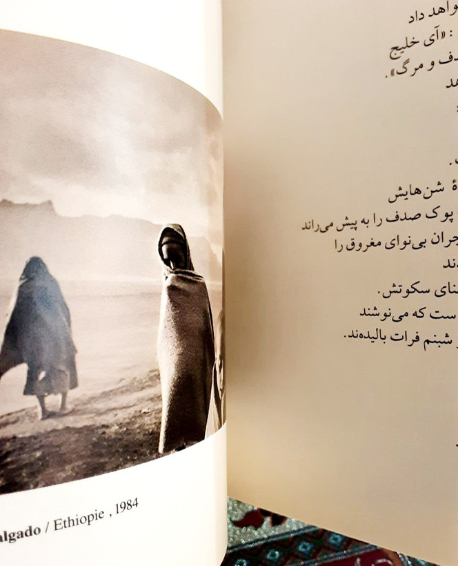 تو مشغول مردنات بودی گزیدهای از اشعار جهان