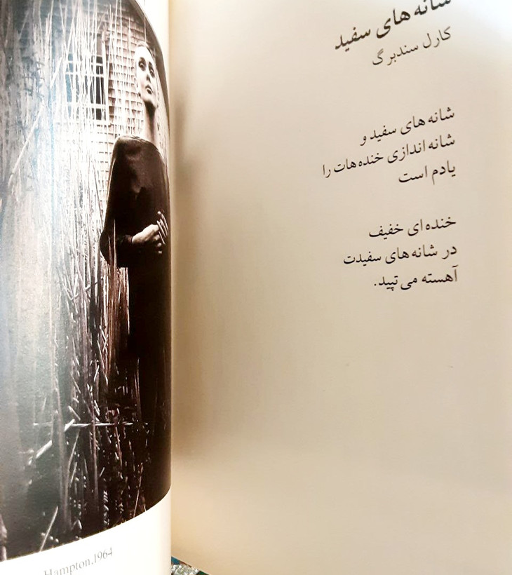 تو مشغول مردنات بودی گزیدهای از اشعار جهان