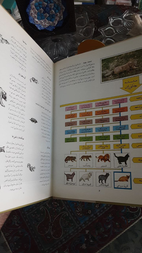 پستانداران تالیف بیژن باوندی