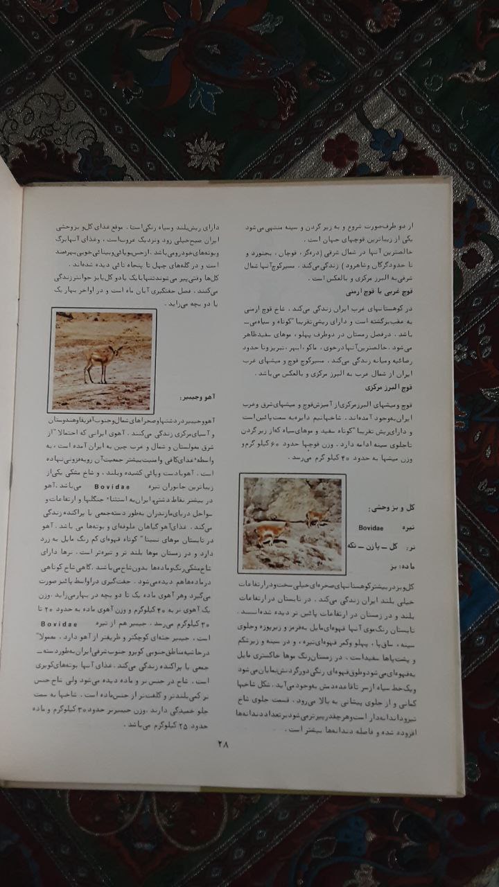 پستانداران تالیف بیژن باوندی