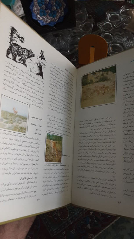 پستانداران تالیف بیژن باوندی