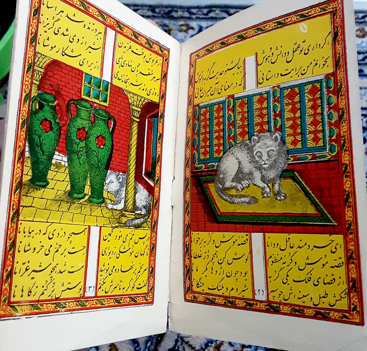 کتاب موش و گربه مصور