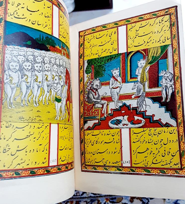 کتاب موش و گربه مصور