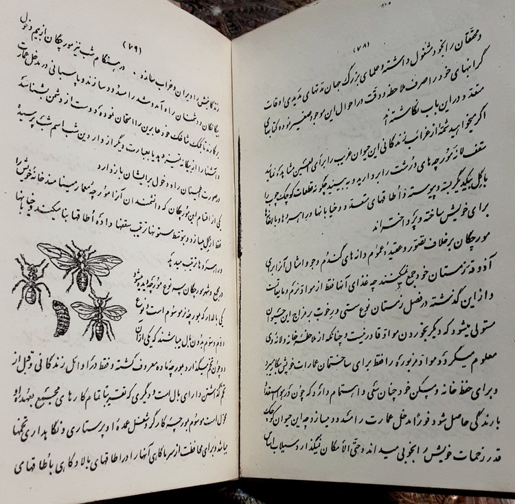 فرائد الادب در نظم و نثر