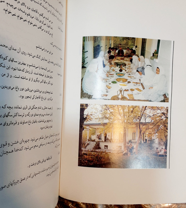 درخت گلابی گلی ترقی داریوش مهرجویی