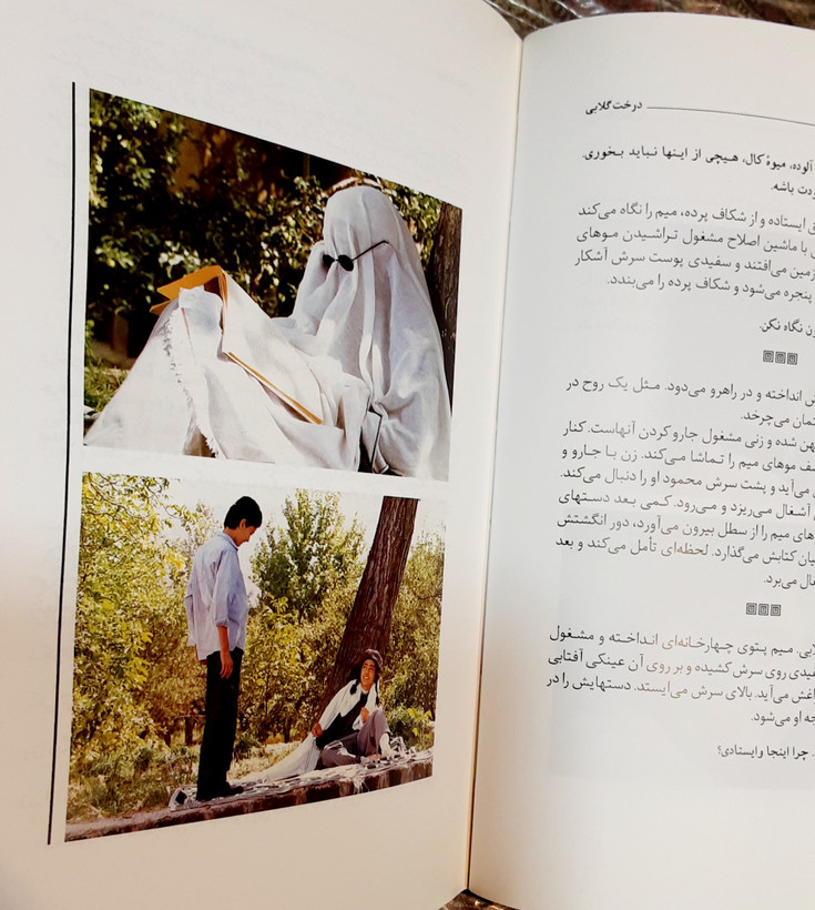 درخت گلابی گلی ترقی داریوش مهرجویی