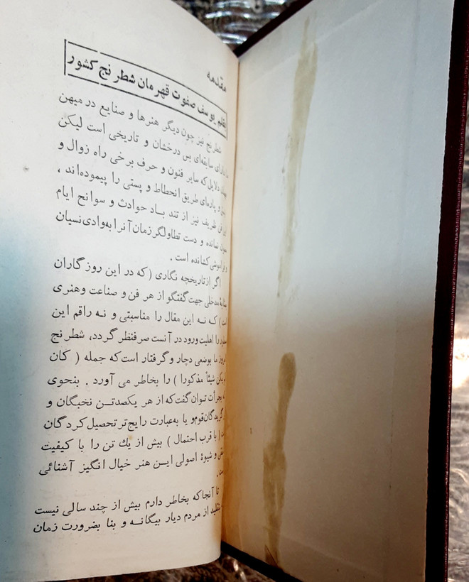 شطرنج و تئوری آن مایزلیس