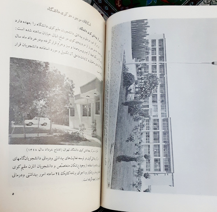با کوی دانشگاه تهران آشنا شوید