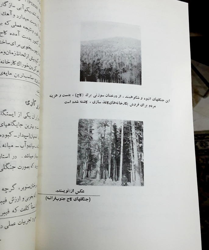 کاغذ چگونه ساخته میشود