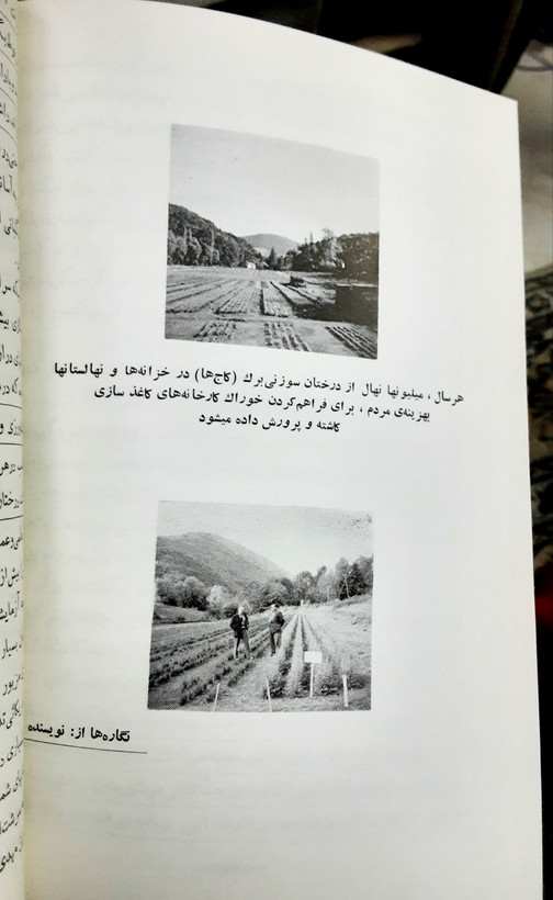 کاغذ چگونه ساخته میشود