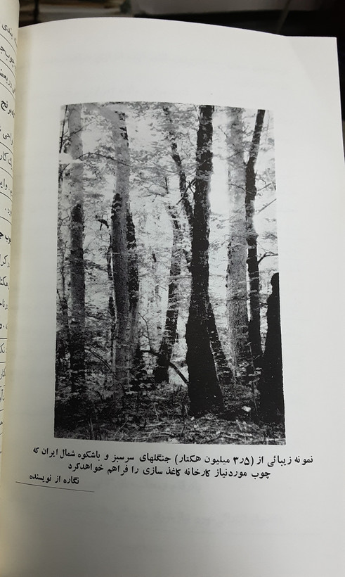 کاغذ چگونه ساخته میشود