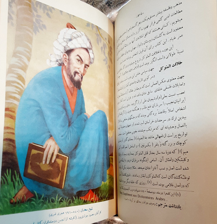 تاریخ ادبی ایران