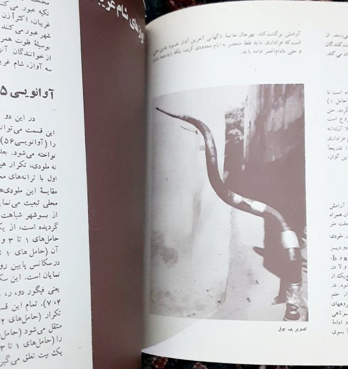 موسیقی بوشهر محمدتقی مسعودیه