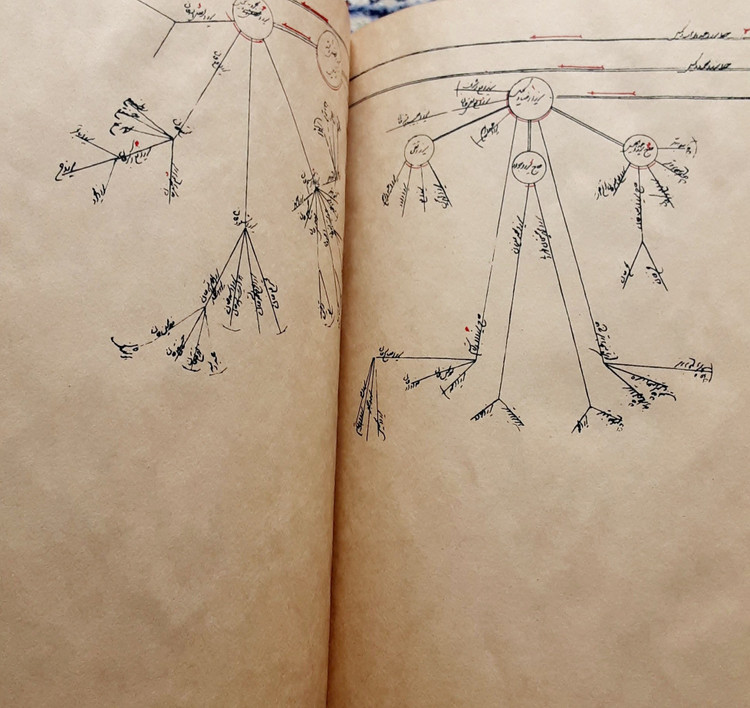 نسب نامه سادات طباطبایی
