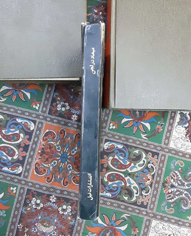 میعاد در لجن