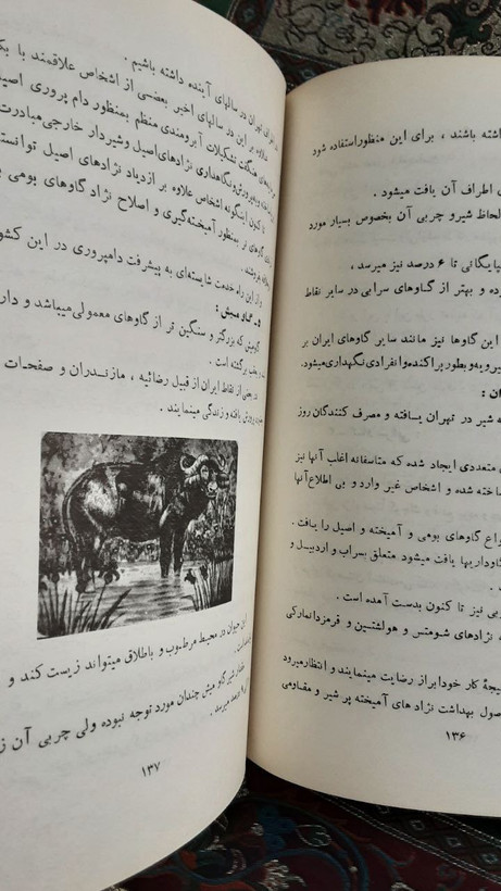 کتاب شتر گاو پلنگ