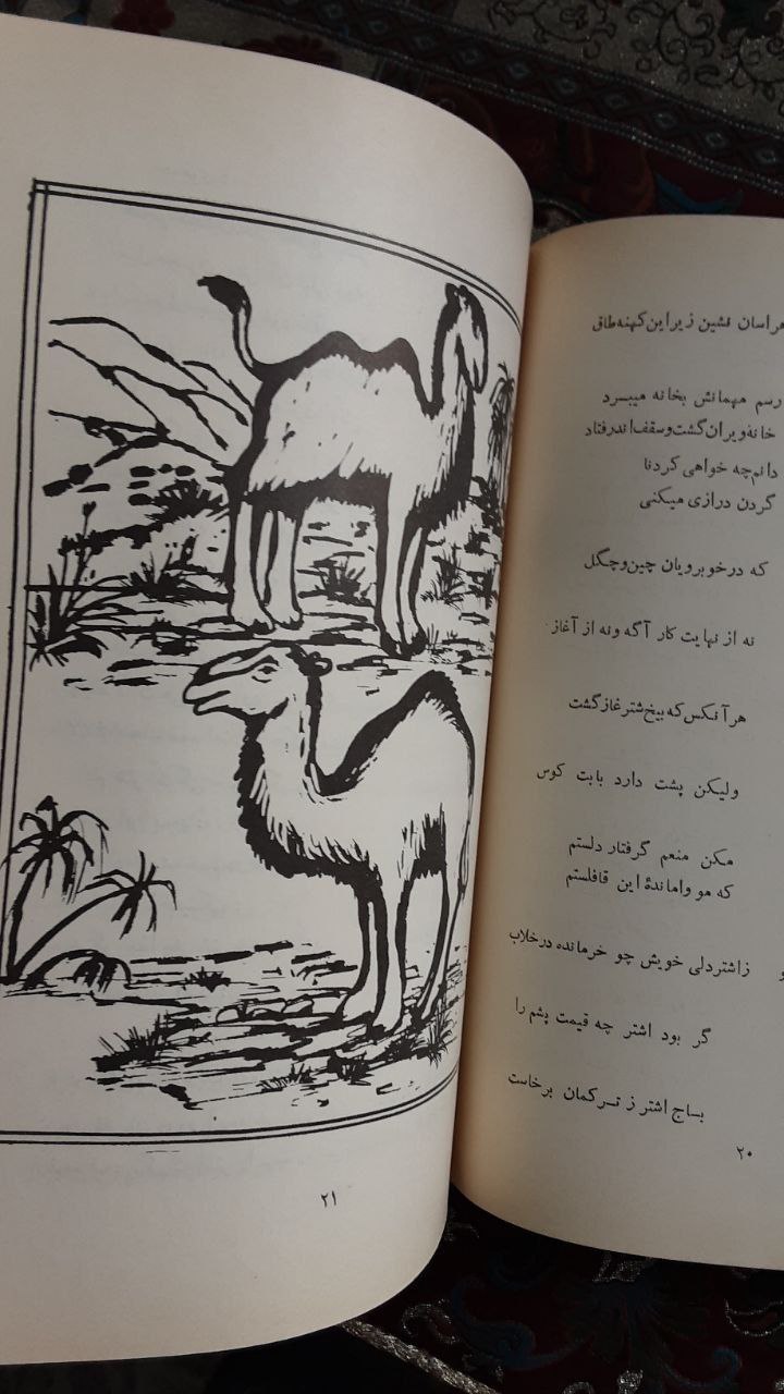 کتاب شتر گاو پلنگ