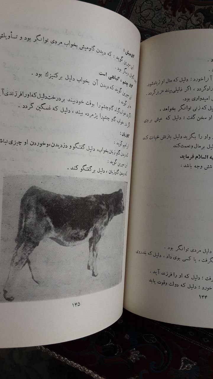کتاب شتر گاو پلنگ