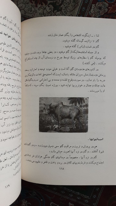 کتاب شتر گاو پلنگ